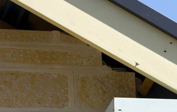 soffit repair Llanelieu